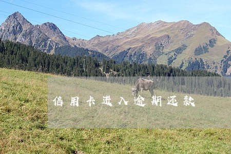 信用卡进入逾期还款 信用卡进入逾期还款