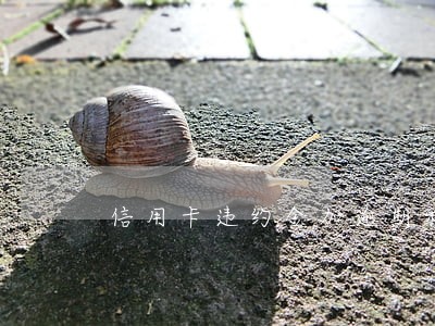 信用卡违约金加逾期利息上限