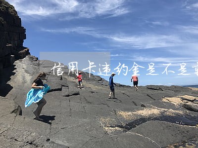 信用卡违约金是不是就是逾期 信用卡违约金是不是就是逾期