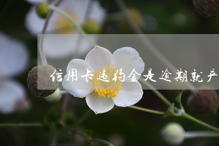 信用卡违约金是逾期就产生吗 信用卡违约金是逾期就产生吗