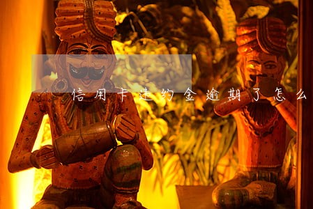 信用卡违约金逾期了怎么办
