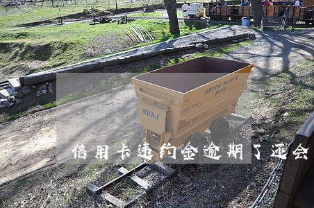 信用卡违约金逾期了还会上征信吗