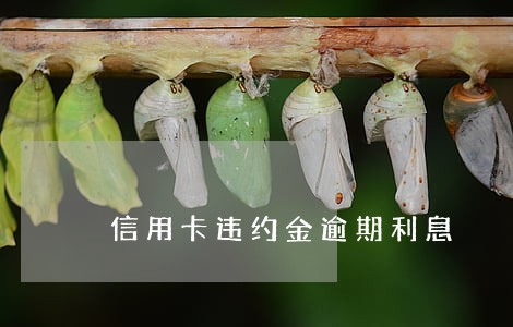 信用卡违约金逾期利息 信用卡违约金逾期利息