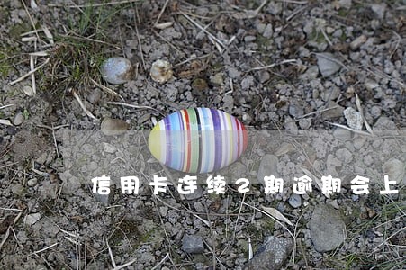 信用卡连续2期逾期会上门吗 信用卡连续2期逾期会上门吗
