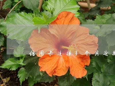 信用卡连续3个月逾期还款 信用卡连续3个月逾期还款