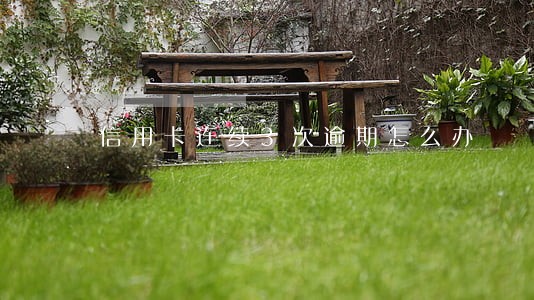 信用卡连续3次逾期怎么办