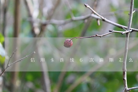 信用卡连续6次逾期怎么算的 信用卡连续6次逾期怎么算的