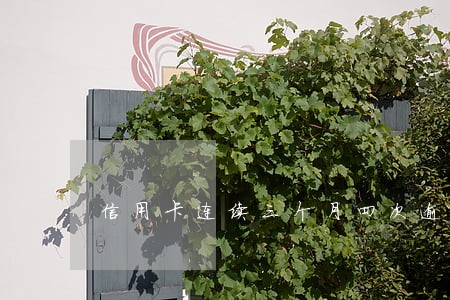 信用卡连续三个月四次逾期 信用卡连续三个月四次逾期