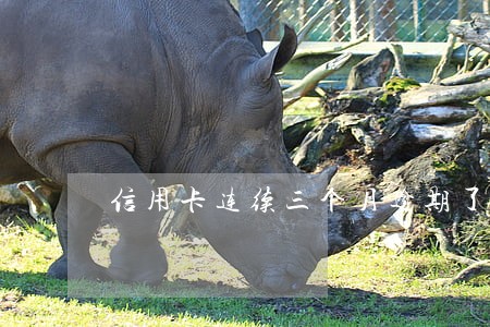 信用卡连续三个月逾期了3天 信用卡连续三个月逾期了3天