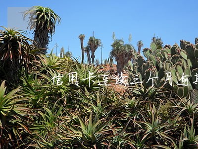信用卡连续三个月逾期会冻结吗 信用卡连续三个月逾期会冻结吗