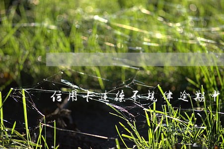 信用卡连续不规律逾期申诉理由 信用卡连续不规律逾期申诉理由