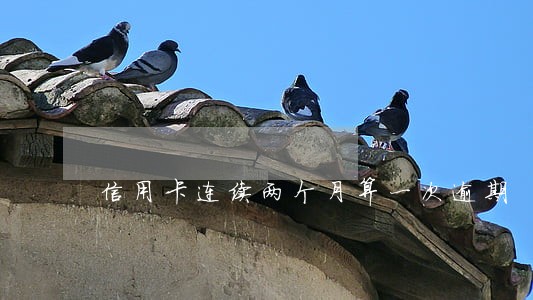 信用卡连续两个月算一次逾期