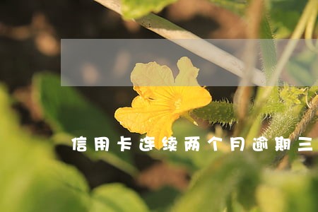 信用卡连续两个月逾期三天 信用卡连续两个月逾期三天