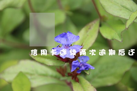 信用卡连续两次逾期后还款