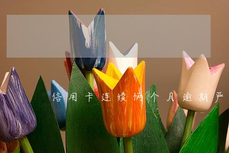 信用卡连续俩个月逾期严重么 信用卡连续俩个月逾期严重么