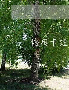 信用卡连续六个月逾期 信用卡连续六个月逾期