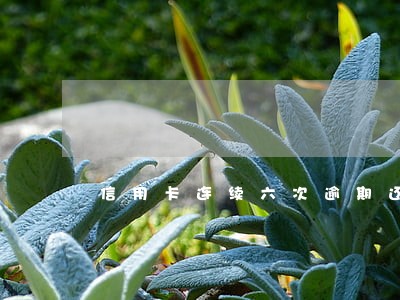 信用卡连续六次逾期还款