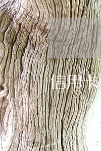信用卡连续几个月逾期几天 信用卡连续几个月逾期几天