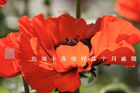 信用卡连续好几个月逾期