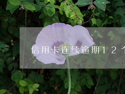 信用卡连续逾期12个月 信用卡连续逾期12个月