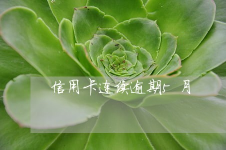 信用卡连续逾期5月