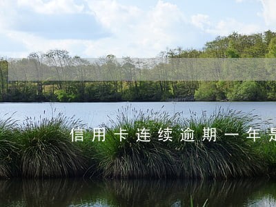信用卡连续逾期一年是什么后果 信用卡连续逾期一年是什么后果