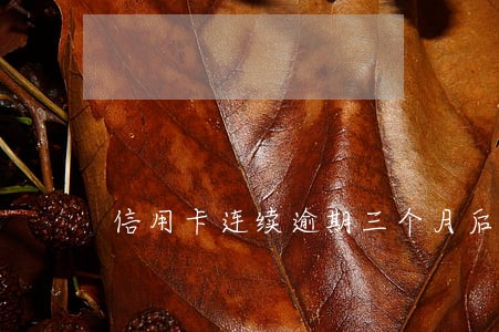 信用卡连续逾期三个月后还能用 信用卡连续逾期三个月后还能用