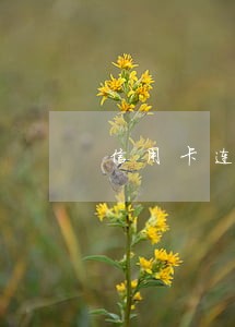 信用卡连续逾期三次公积金 信用卡连续逾期三次公积金
