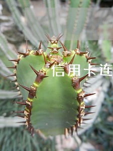 信用卡连续逾期三次可以刷卡吗