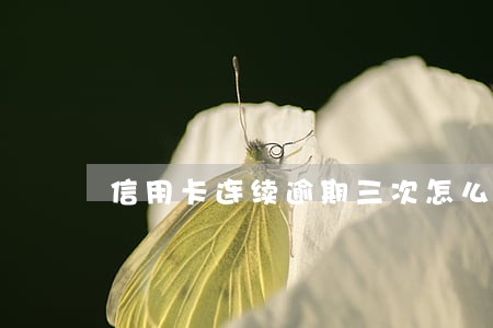 信用卡连续逾期三次怎么界定