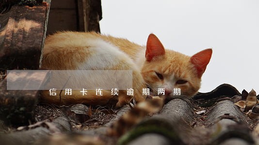 信用卡连续逾期两期 信用卡连续逾期两期