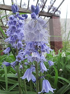信用卡连续逾期了3个月会怎样