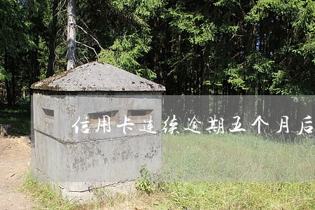 信用卡连续逾期五个月后果 信用卡连续逾期五个月后果