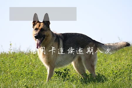 信用卡连续逾期八次 信用卡连续逾期八次