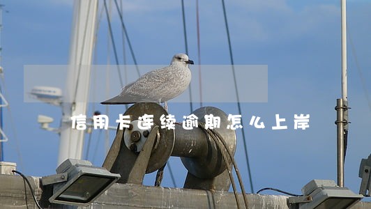 信用卡连续逾期怎么上岸 信用卡连续逾期怎么上岸