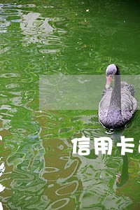 信用卡连续逾期贷不了款 信用卡连续逾期贷不了款