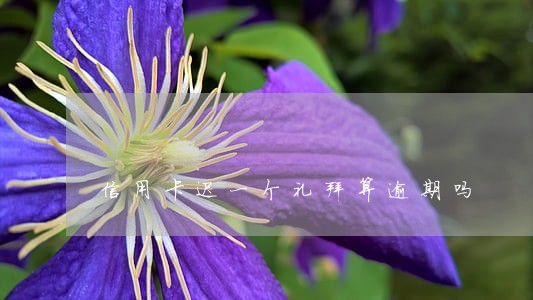 信用卡迟一个礼拜算逾期吗 信用卡迟一个礼拜算逾期吗