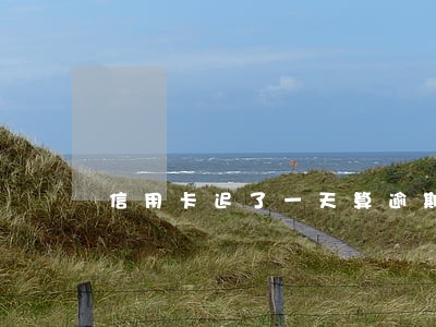 信用卡迟了一天算逾期吗