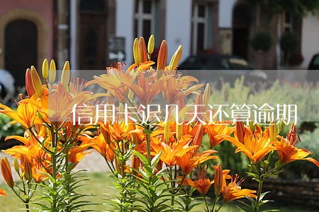信用卡迟几天还算逾期 信用卡迟几天还算逾期