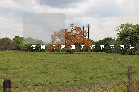 信用卡迟四天还算不算逾期 信用卡迟四天还算不算逾期