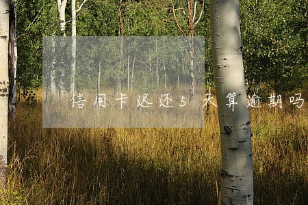 信用卡迟还5天算逾期吗 信用卡迟还5天算逾期吗
