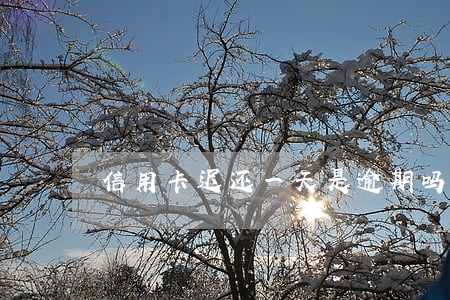 信用卡迟还一天是逾期吗