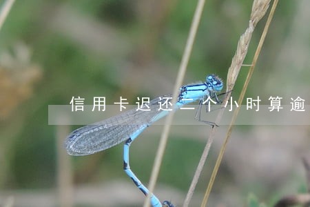 信用卡迟还二个小时算逾期吗 信用卡迟还二个小时算逾期吗