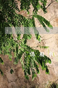 信用卡迟还二天款算逾期吗