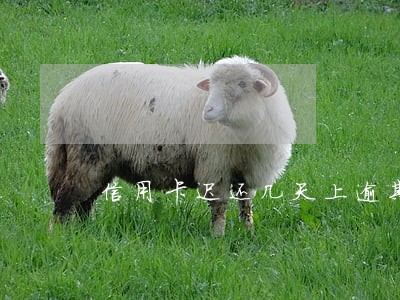 信用卡迟还几天上逾期 信用卡迟还几天上逾期