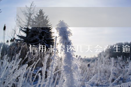 信用卡迟还几天会产生逾期吗