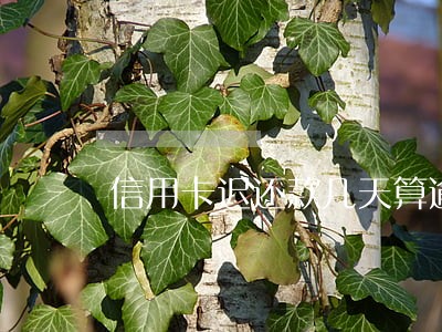 信用卡迟还款几天算逾期 信用卡迟还款几天算逾期