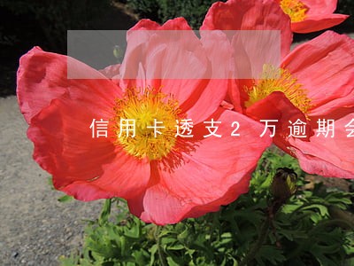 信用卡透支2万逾期会怎么样 信用卡透支2万逾期会怎么样