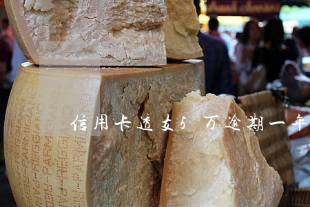 信用卡透支5万逾期一年利息 信用卡透支5万逾期一年利息