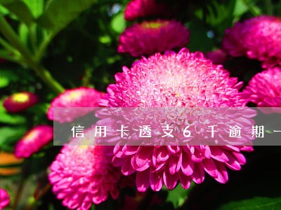 信用卡透支6千逾期一年 信用卡透支6千逾期一年